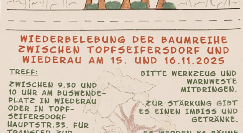 Bäume pflanzen